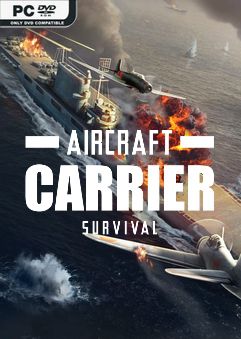  Aircraft Carrier Survival 