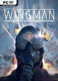  Project Wingman 