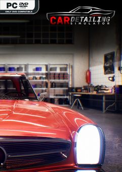  Car Detailing Simulator 