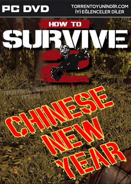  How To Survive 2 Chinese New Year 