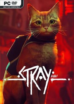  Stray 