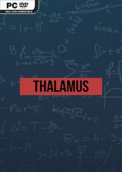  Thalamus 