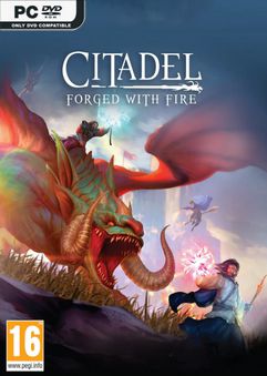  Citadel Forged with Fire The Godkings Vengeance 