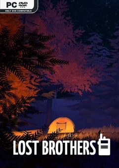  Lost Brothers 